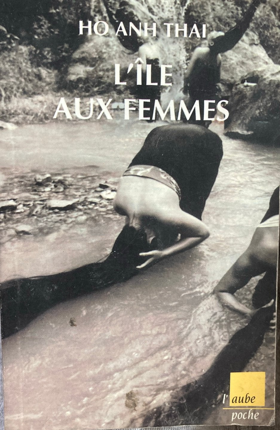 Ho anh thai l’île aux femmes, Boeken, Ophalen of Verzenden, Zo goed als nieuw