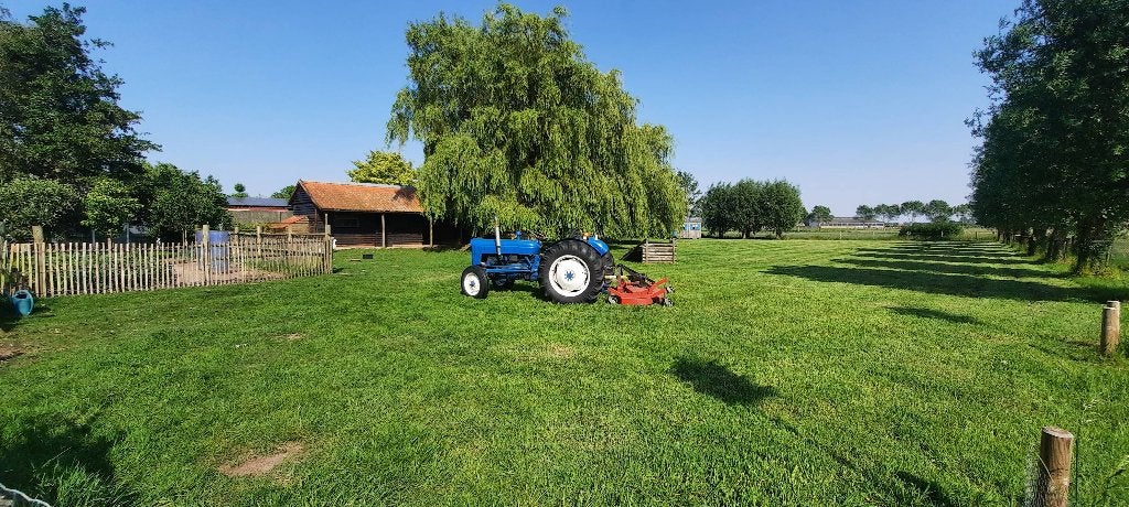 Tractor, Zakelijke goederen, Ophalen, Oldtimer, Ford