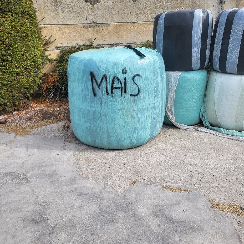 Grote Maisbalen  Maispakken, Dieren en Toebehoren, Ophalen of Verzenden, Vee