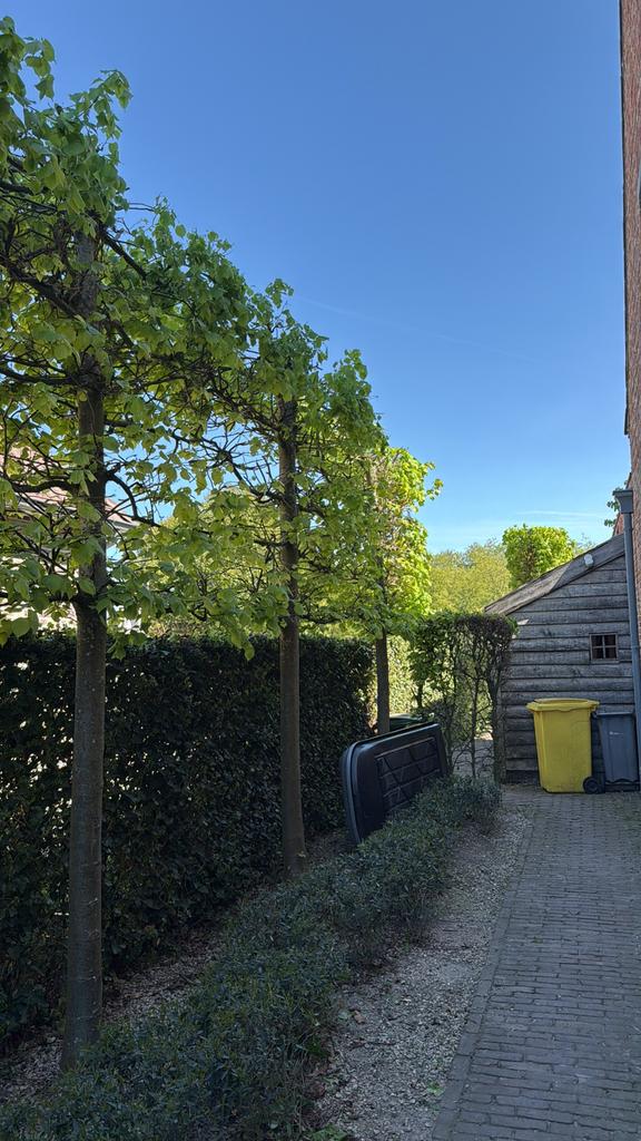 Dakkoffer, Ophalen, Zo goed als nieuw