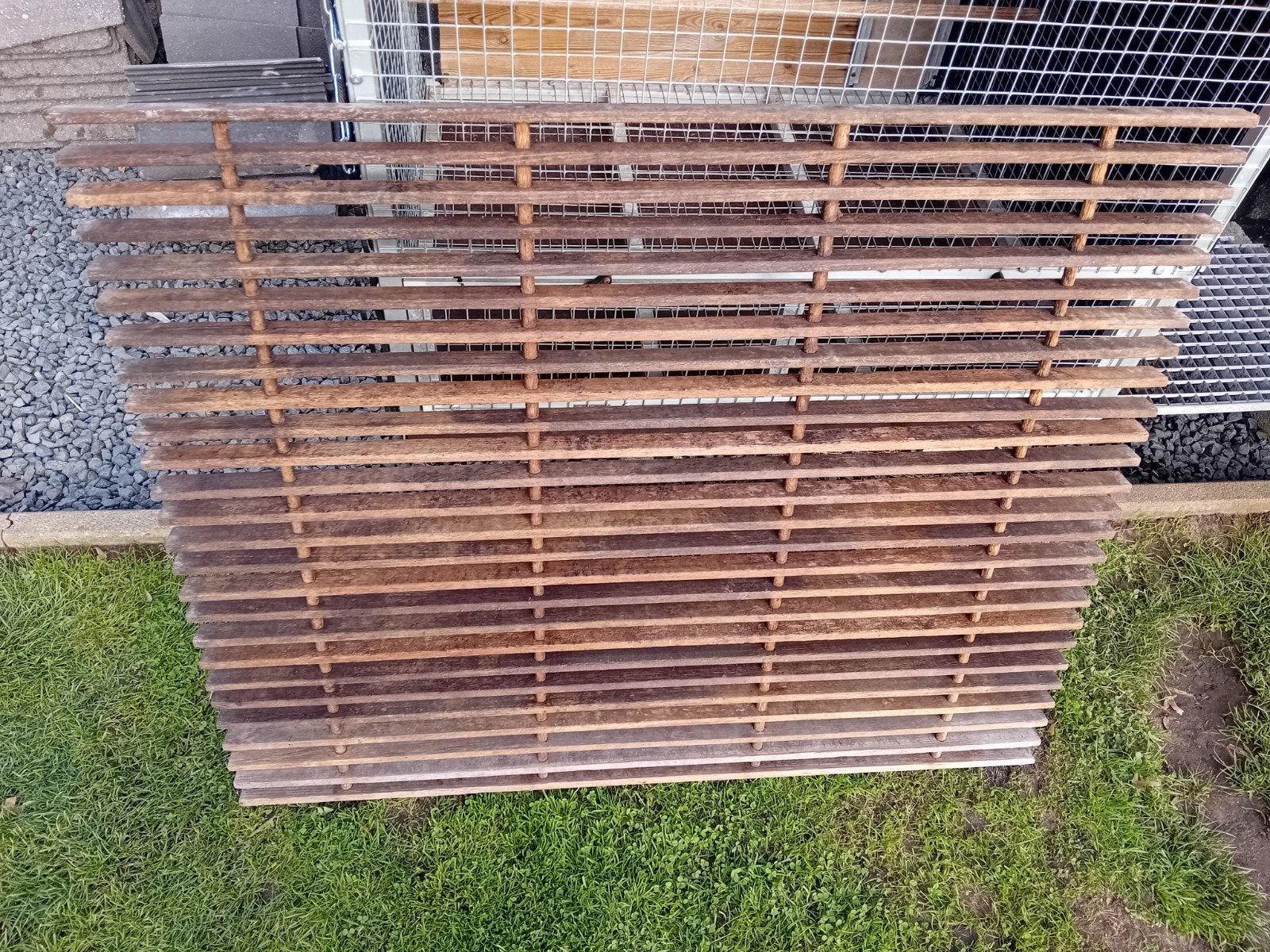 hardhouten roosters, Dieren en Toebehoren