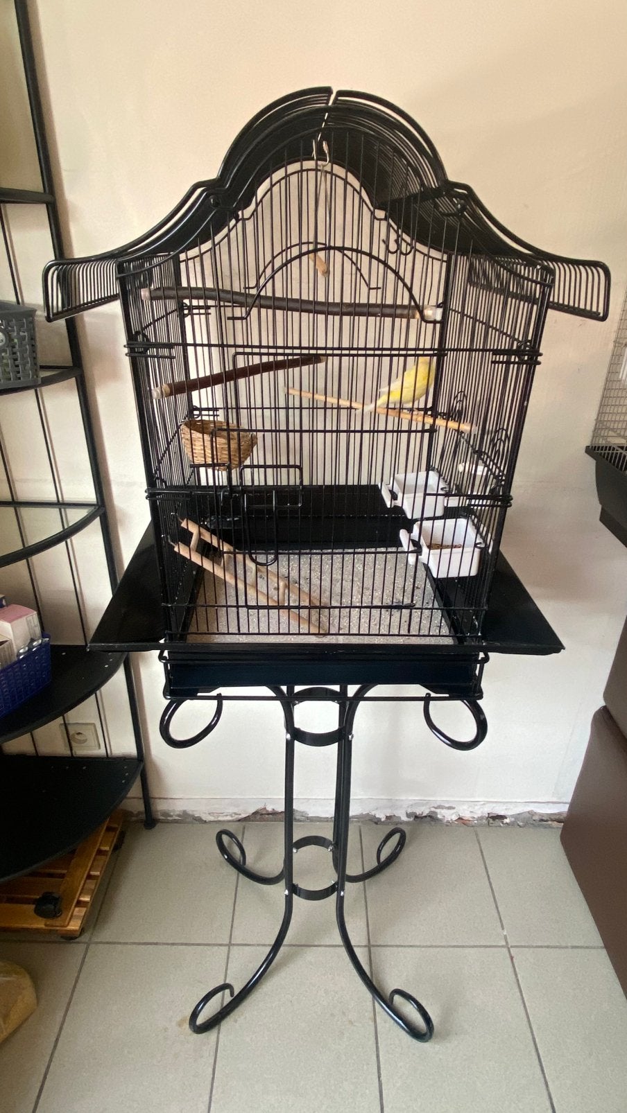 Klassieke vogelkooi met kanari, Ophalen, Gebruikt, Vogelkooi