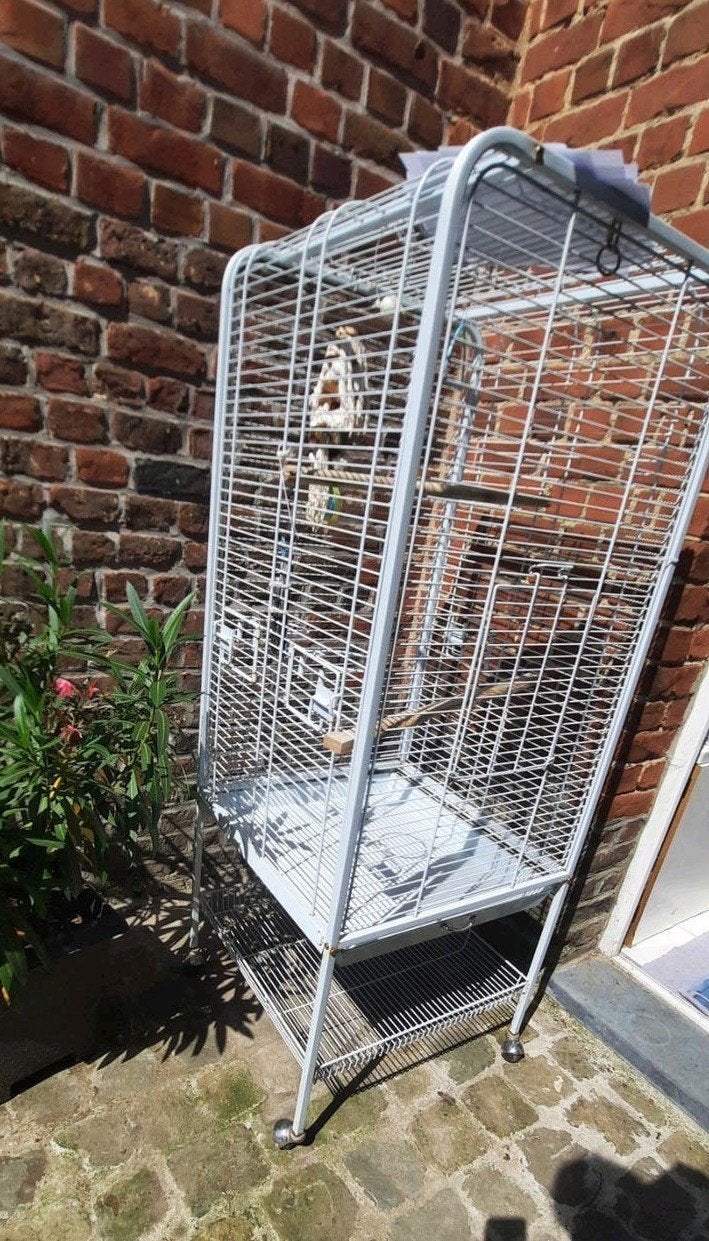Grote vogelkooi voor grote parkieten of kleine papegaaien, Dieren en Toebehoren, Ophalen, Zo goed als nieuw, Metaal, Vogelkooi