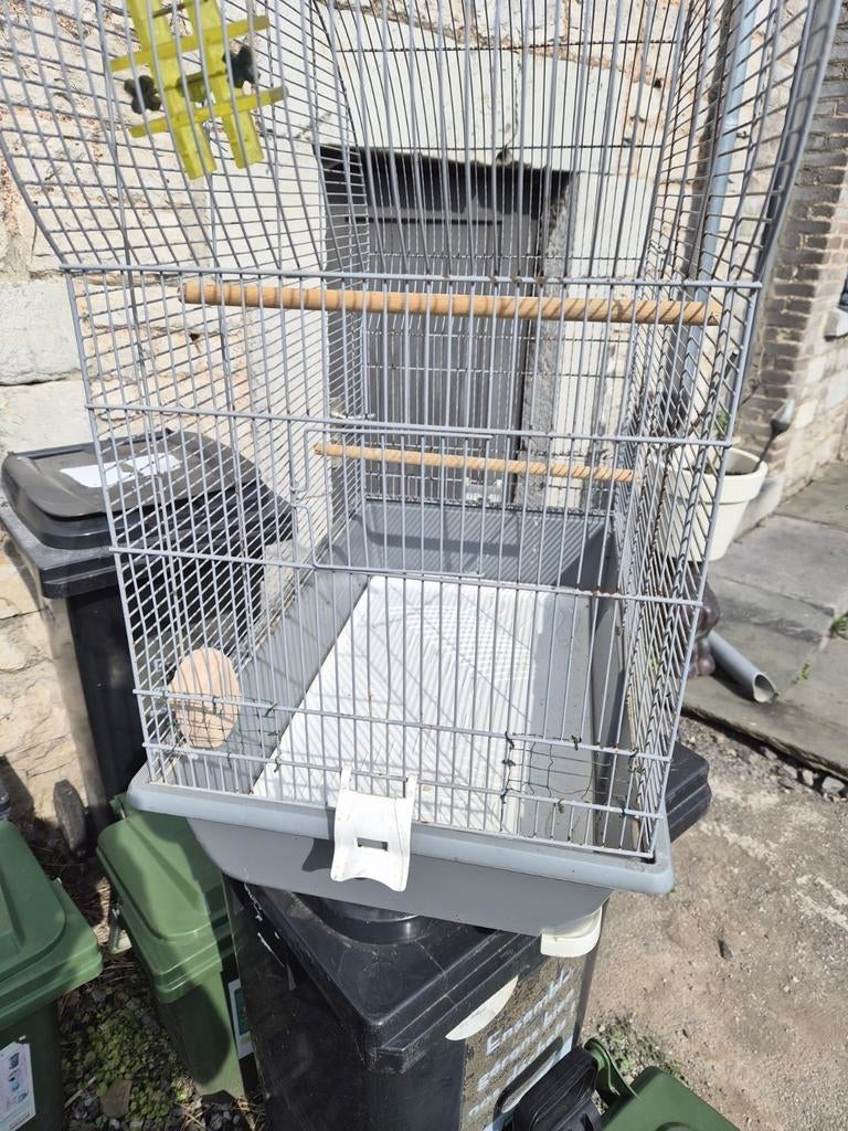 Cage a oiseaux, Enlèvement