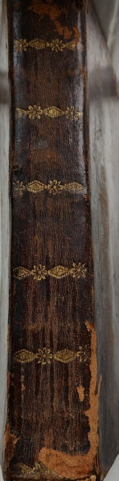 Bijbel 1805, Enlèvement ou Envoi