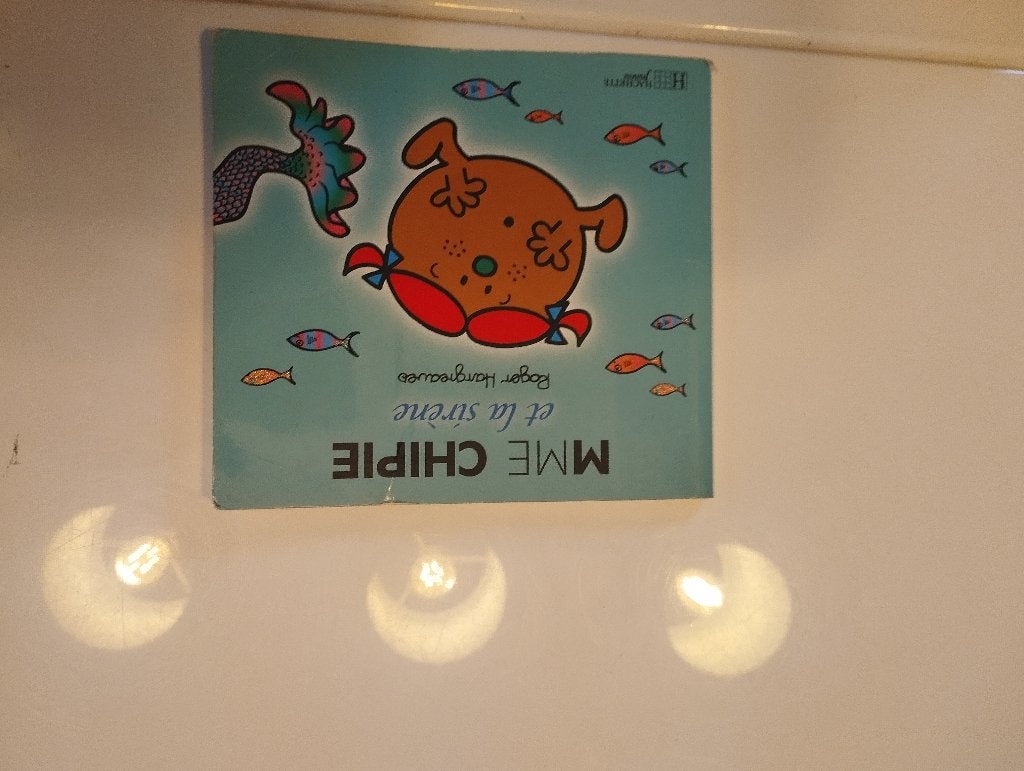 Lot 2 livres Monsieur Madame, Garçon ou Fille, Enlèvement ou Envoi, Roger Hargreaves, Utilisé