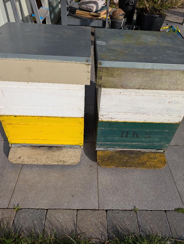 Twee simplex bijenkasten, Bijen