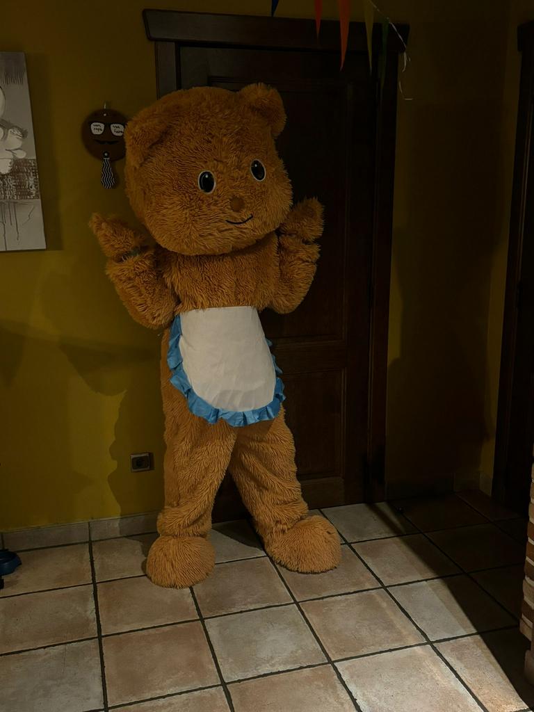 Berenpak mascotte carnaval, Collections, Ours & Peluches, Enlèvement, Neuf, Autres types, Autres marques