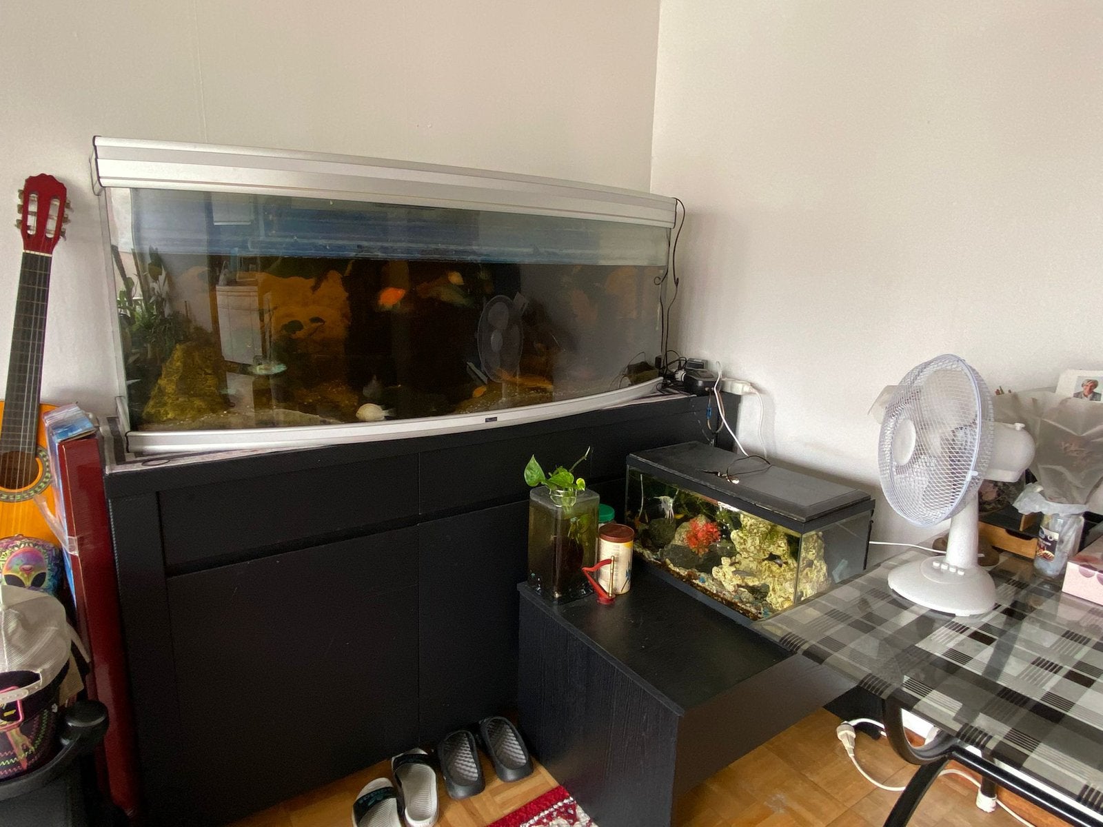 Kleine aquarium met vissen, Ophalen of Verzenden, Zo goed als nieuw