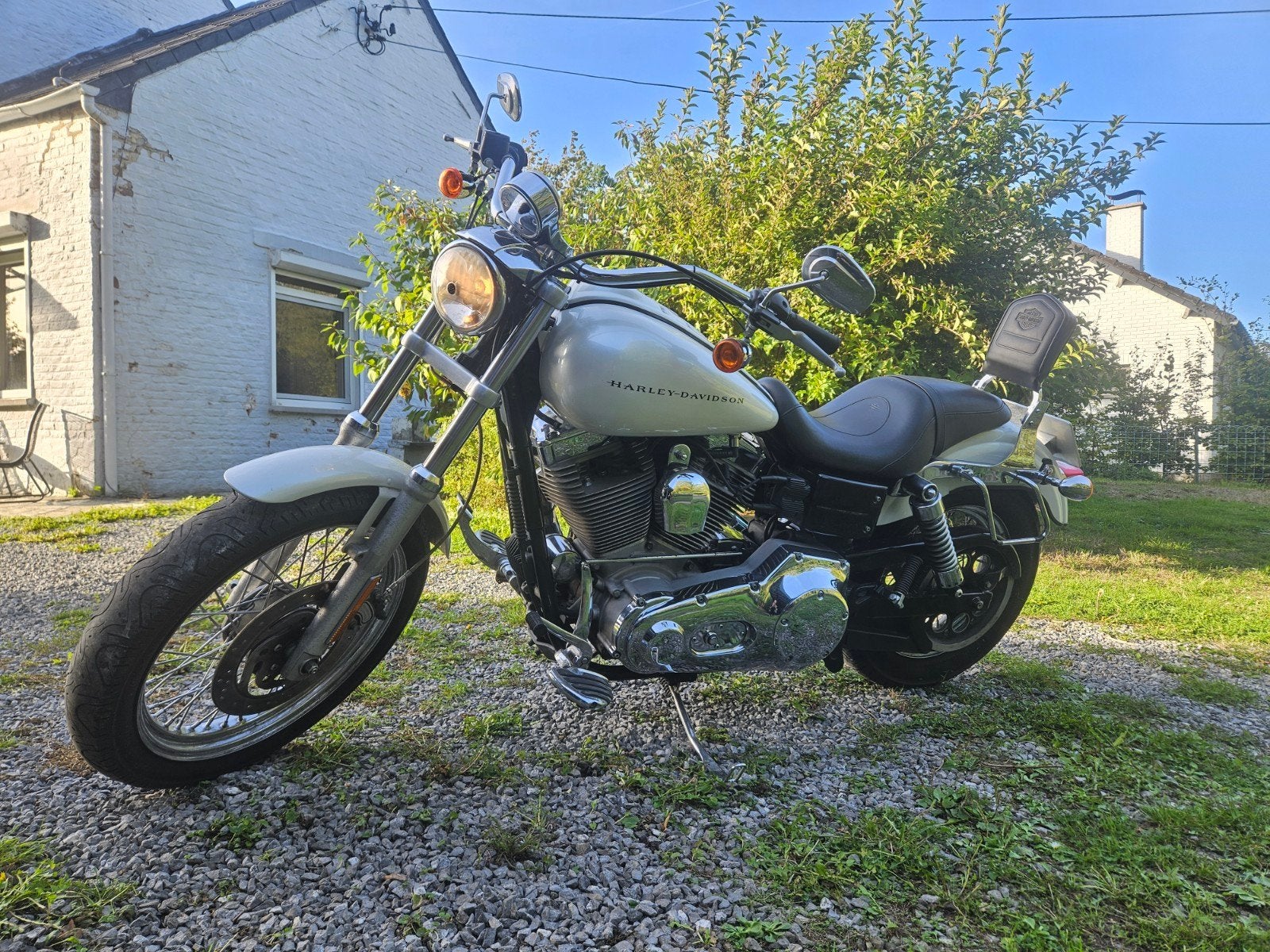 Harley Davidson Dyna 1450, Motoren, Particulier