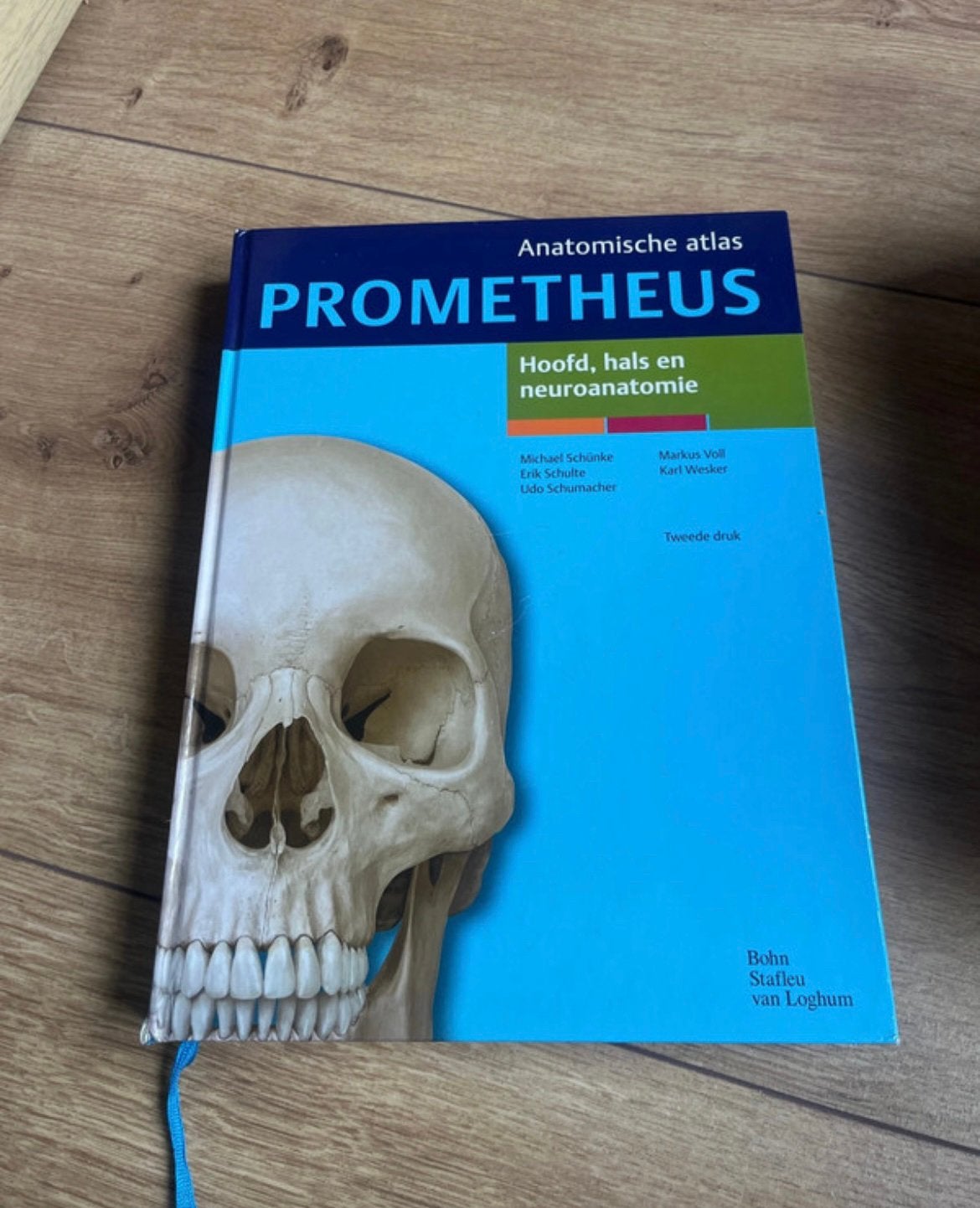Michael Schünke - Hoofd, hals en neuroanatomie, Livres, Science, Enlèvement ou Envoi, Michael Schünke; Erik Schulte; Udo Schumacher