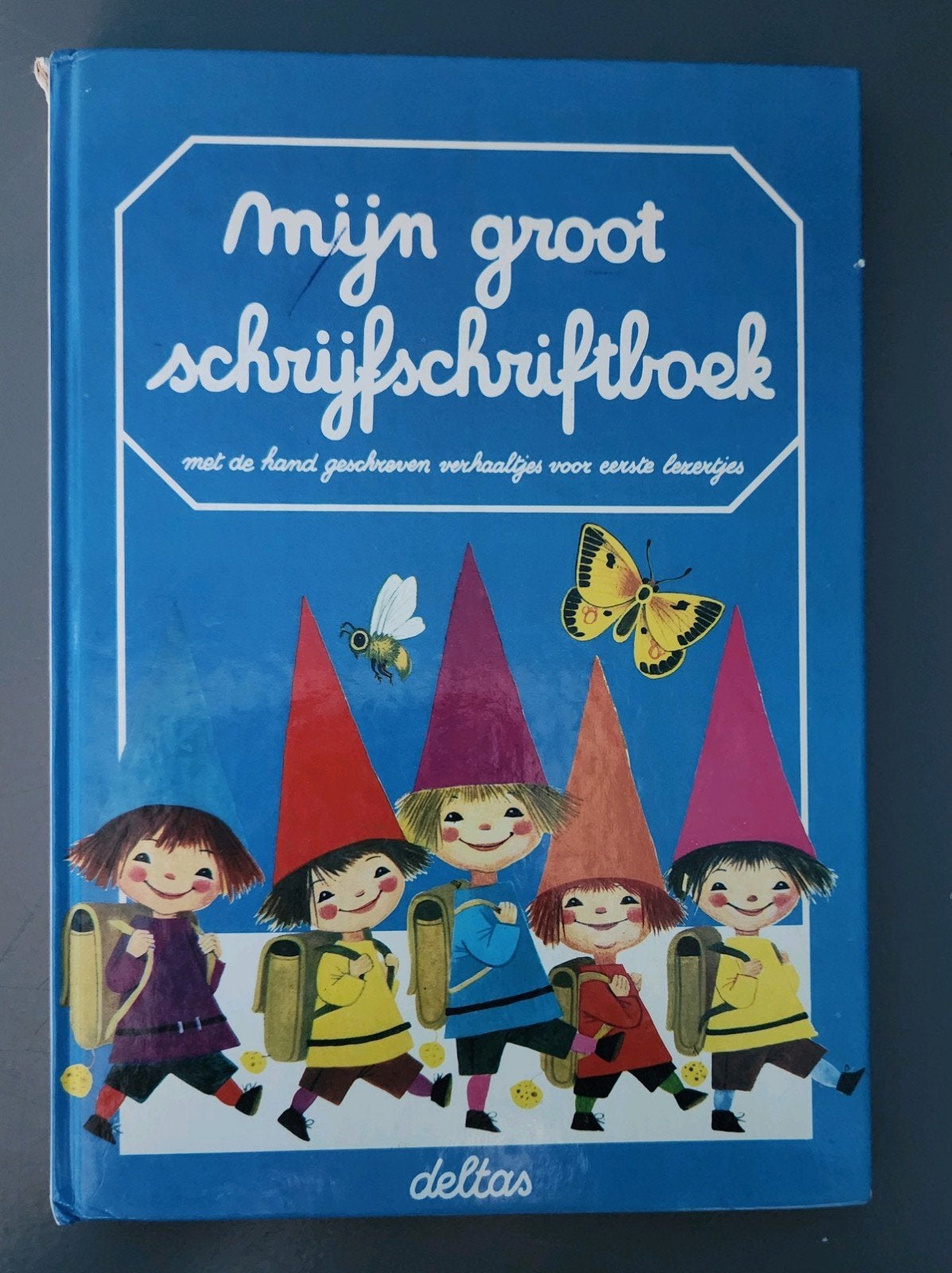 Mijn groot schrijfschriftboek - Deltas vintage - kinderboek, Boeken, Ophalen, Gelezen