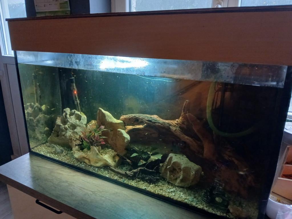 Aquarium met verwarming buitenfilter en toebehoren, Ophalen, Verwarming