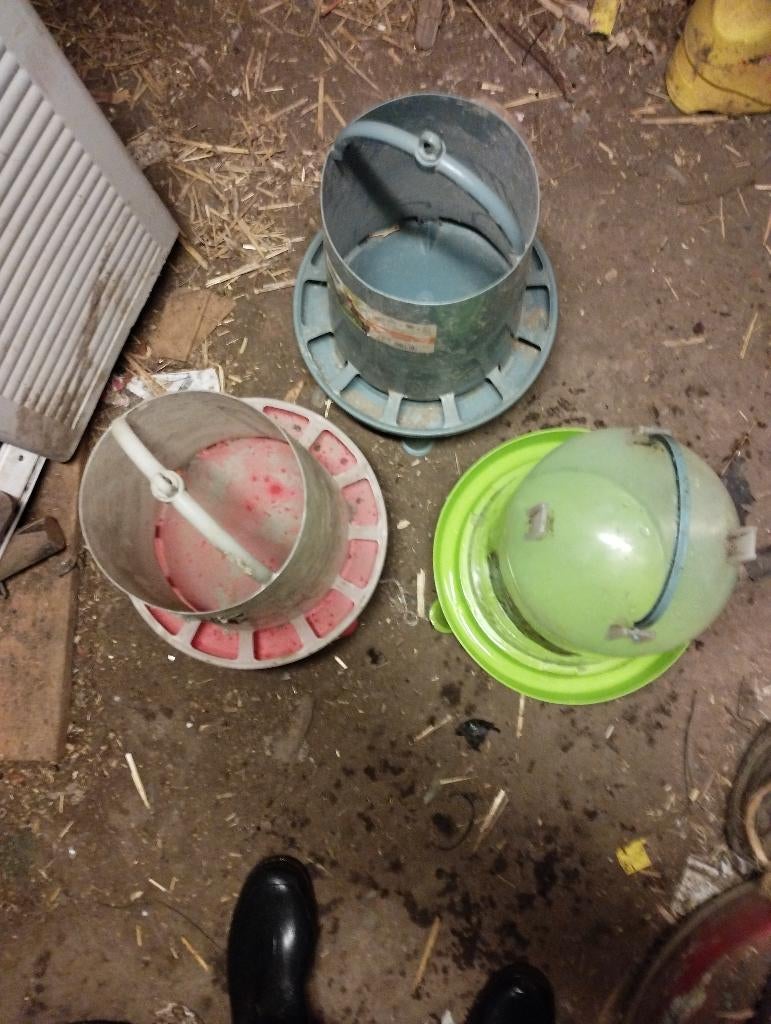 Kippen eetbak, drinkbak, Ophalen, Gebruikt, Drinken en Voederen