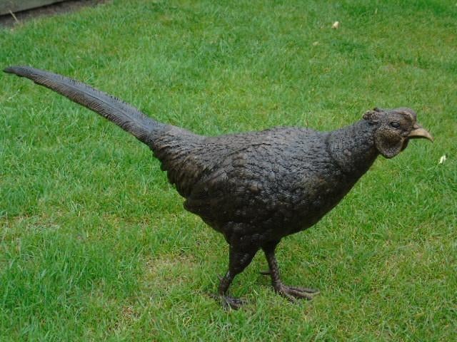 Beeld een levensgrote bronzen fazant!!, Ophalen of Verzenden, Nieuw, Overige materialen, Dierenbeeld