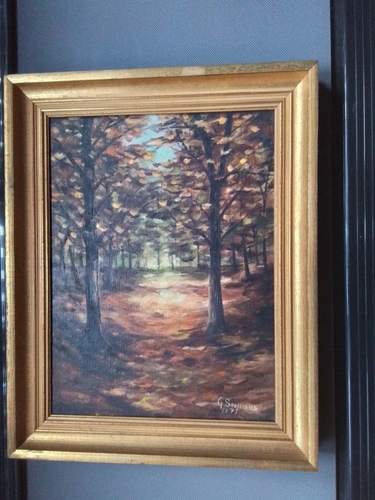 Peinture sur toile de G. SOMMERS, Ophalen of Verzenden