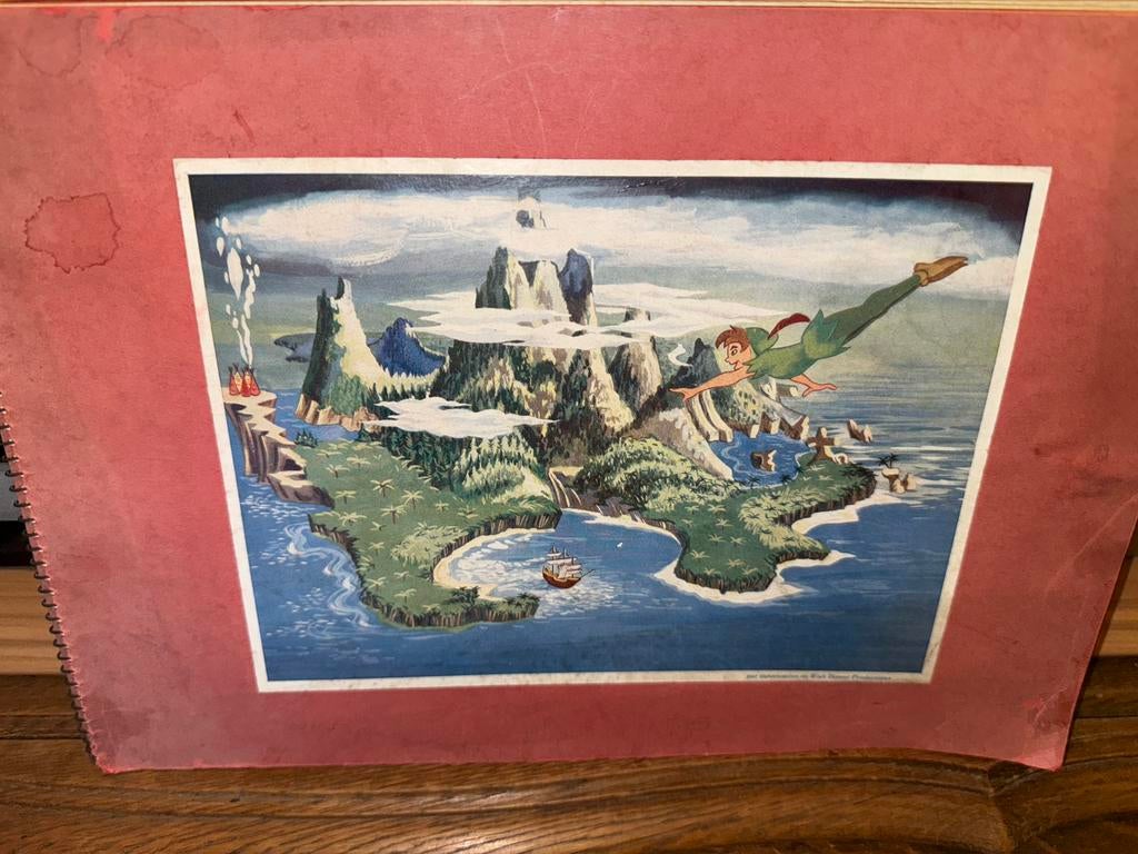 Peter Pan, Ophalen of Verzenden, Gelezen, Plaatjesalbum