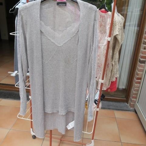 Twinset grijs kant lange gilet Ermanno Scervino mt 40 (it44), Kleding | Dames, Maat 38/40 (M), Nieuw, Ophalen of Verzenden, Ermanno Scervino