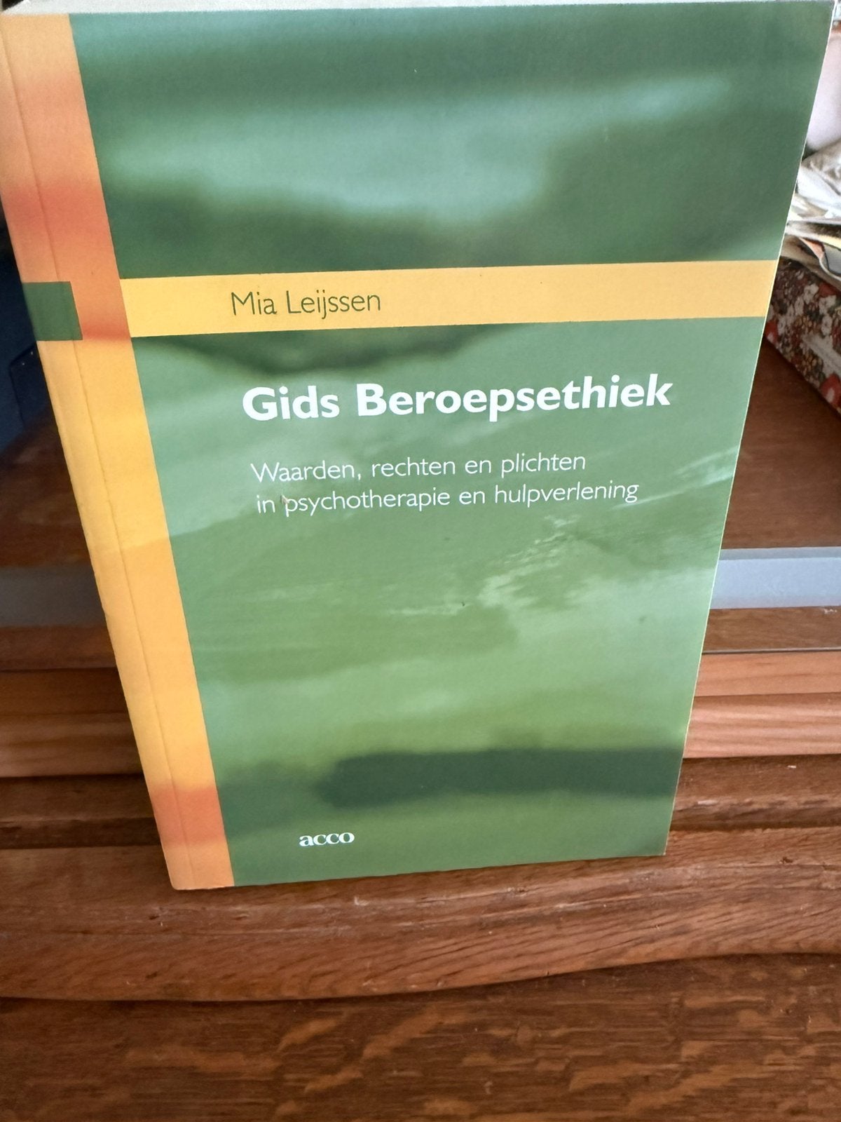 Gids Beroepsethiek. Waarden, rechten en plichten in psychoth, Boeken, Ophalen of Verzenden, MIA LEIJSSEN