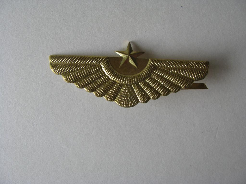 Originele insigne van het Noord-Koreaanse leger, Verzamelen, Militaria | Algemeen, Verzenden