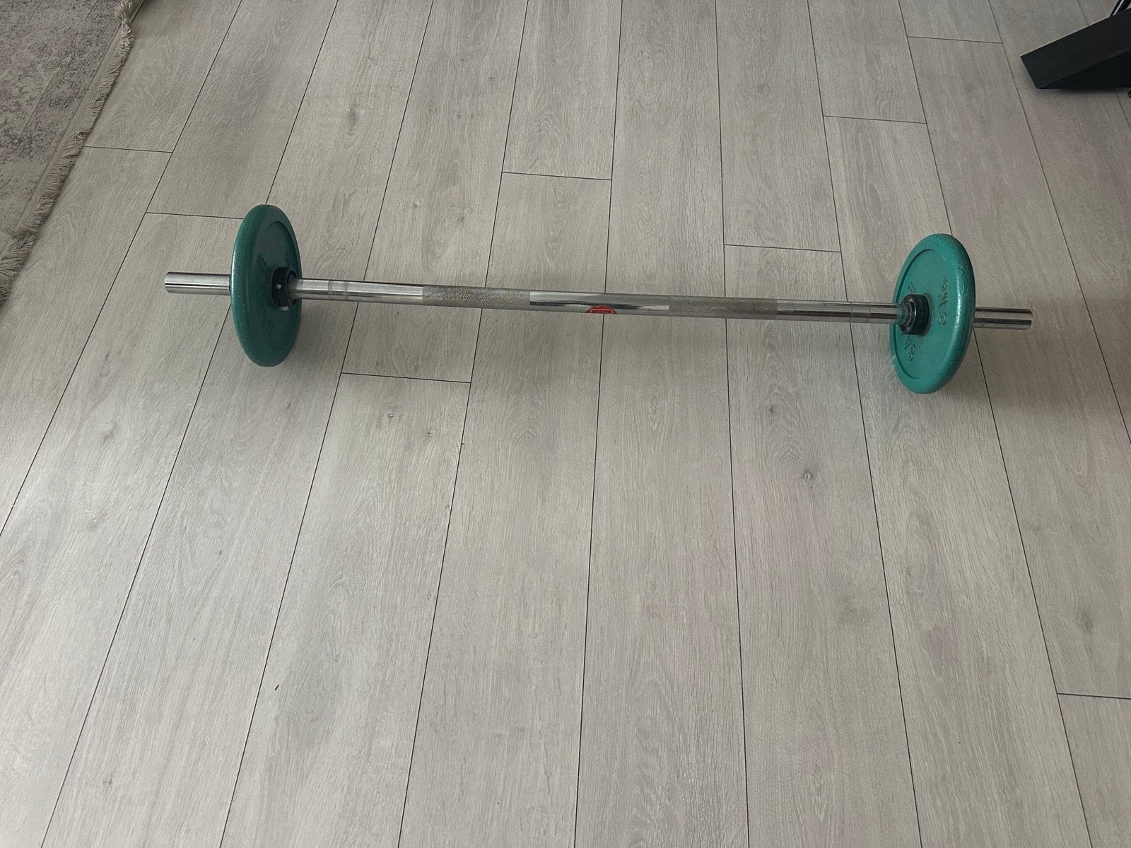 Halterstang met 2 ijzeren halterschijven, Sport en Fitness, Ophalen, Gebruikt, Halterschijven