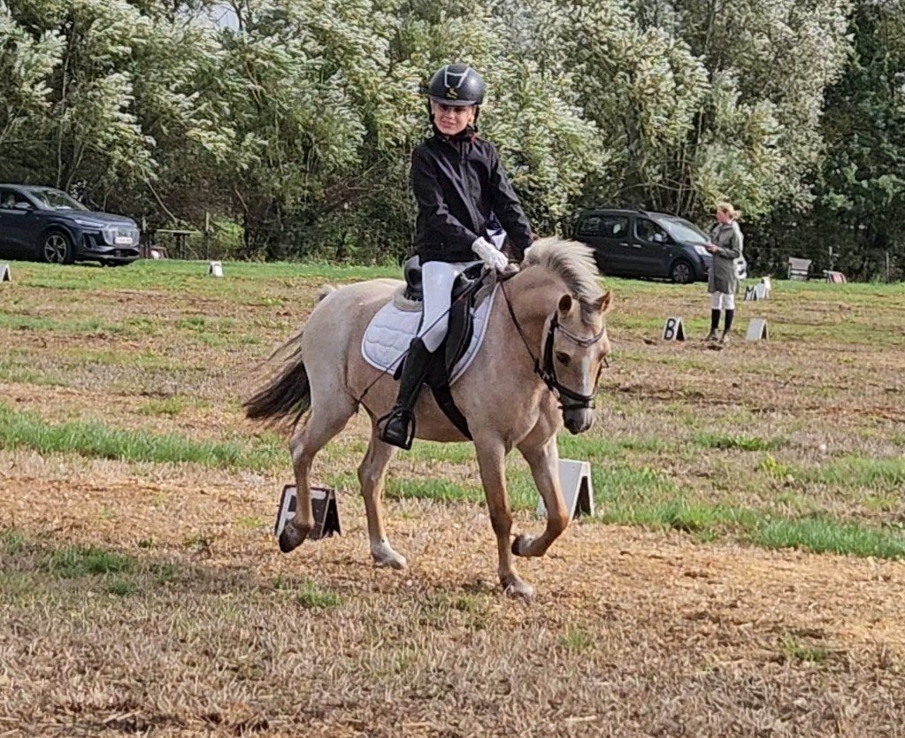 B pony te koop, Dieren en Toebehoren, Pony's, Ruin, B pony (1.17m tot 1.27m), 11 jaar of ouder, Recreatiepony