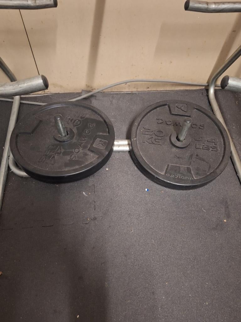 Domyos 20kg schijven 2x, Sport en Fitness, Ophalen