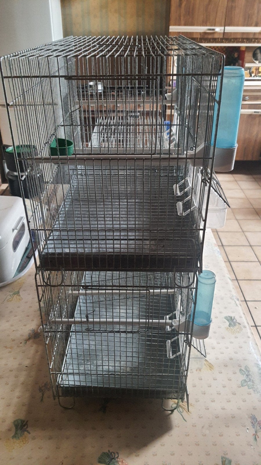 cages élevage oiseaux, Animaux & Accessoires, Enlèvement