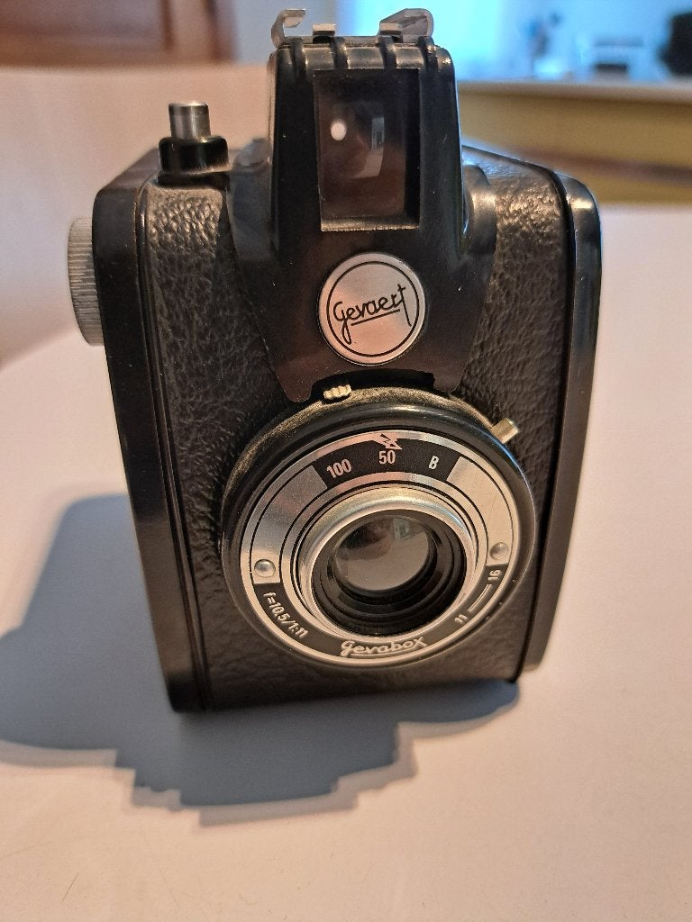 Antiek fototoestel, Ophalen, 1960 tot 1980, Fototoestel
