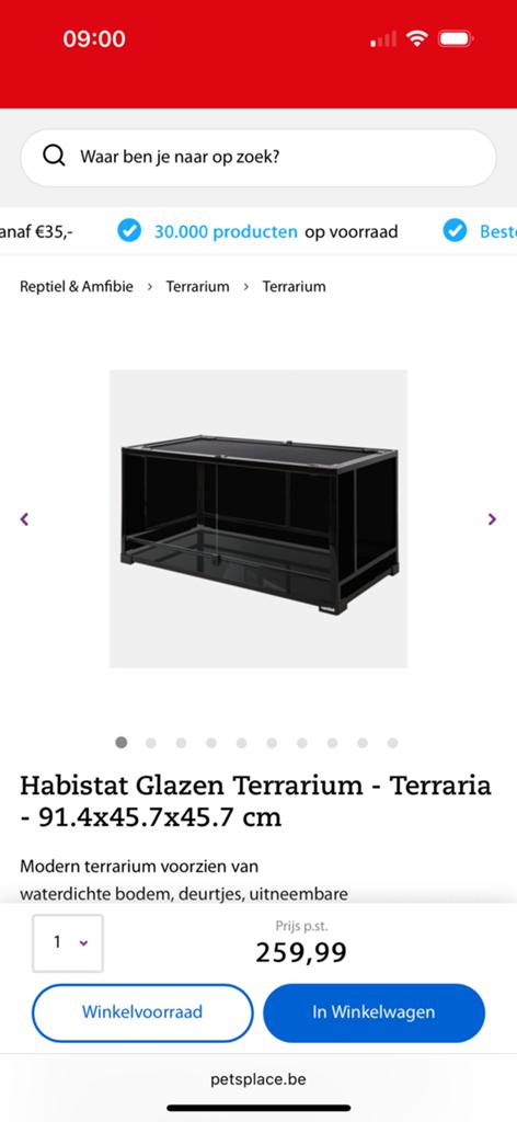 Terrarium, Dieren en Toebehoren