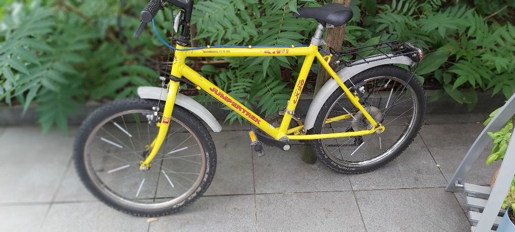 JONGENSFIETSJE 20", Ophalen, Gebruikt, Velgrem, Jumpertrek