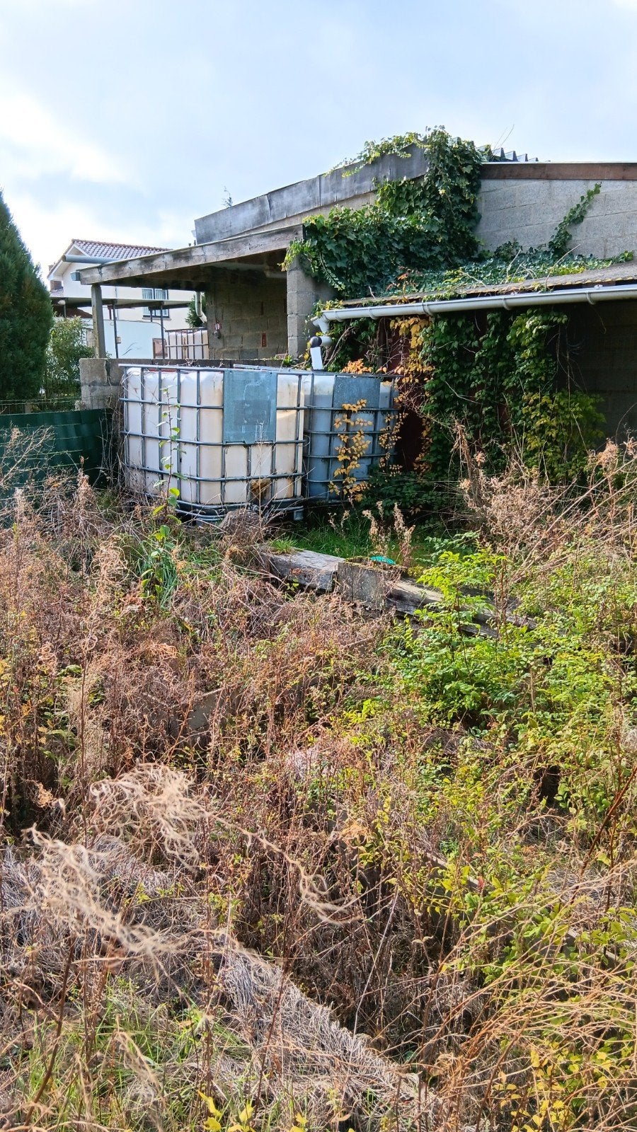 GRATIS  4x IBC container / watertank 1000L - Zelf op te hale, Ophalen