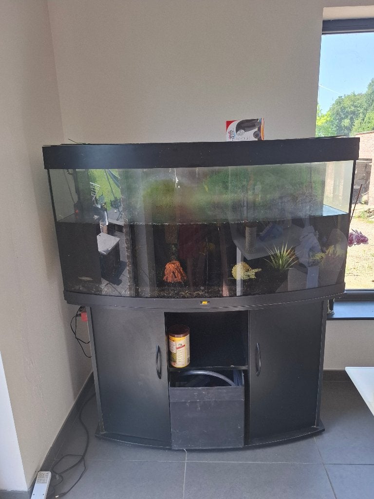 Aquarium, Ophalen