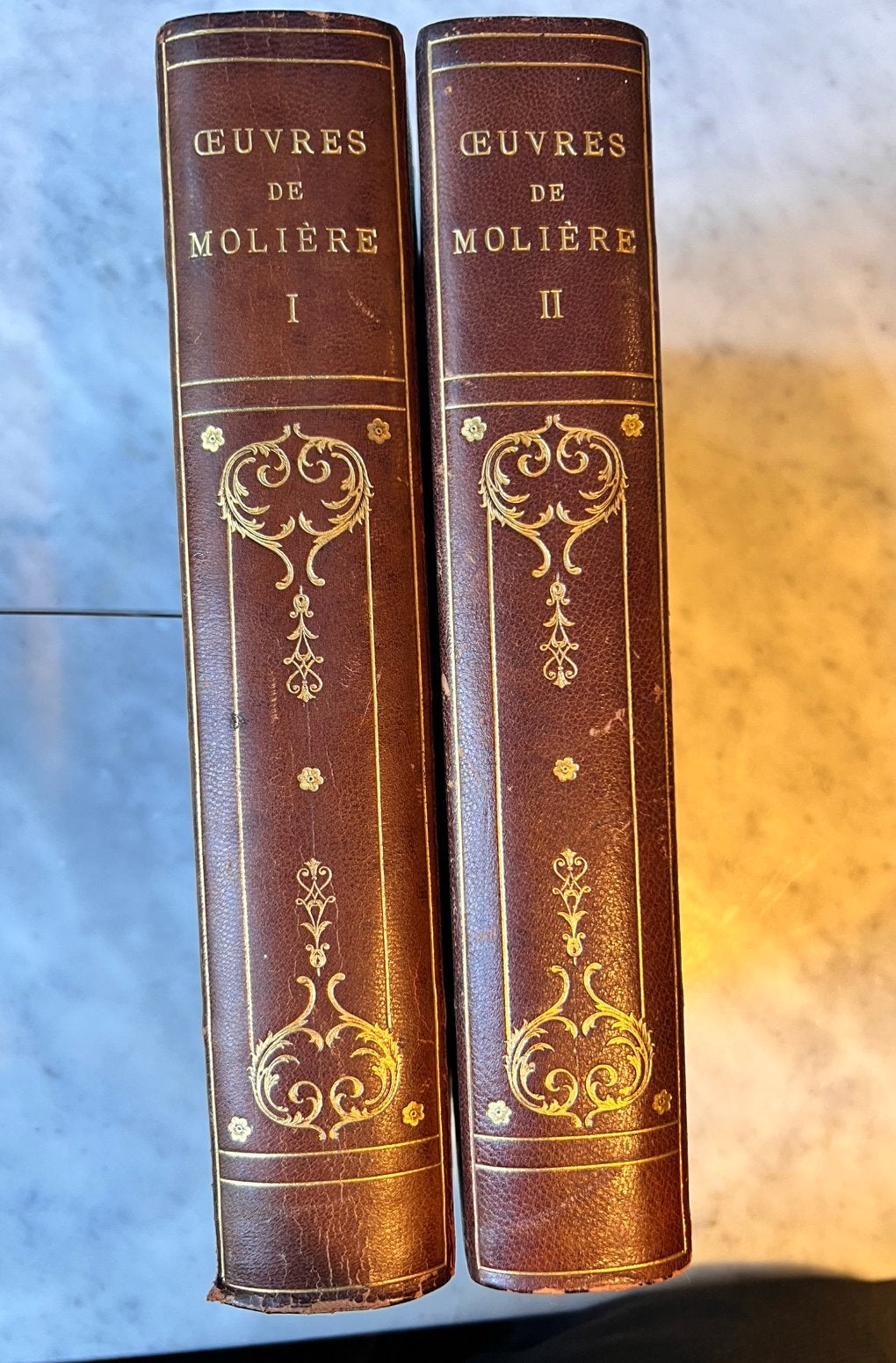 Œuvres de Molière 1924 – luxe lederband 2 delen, Ophalen of Verzenden