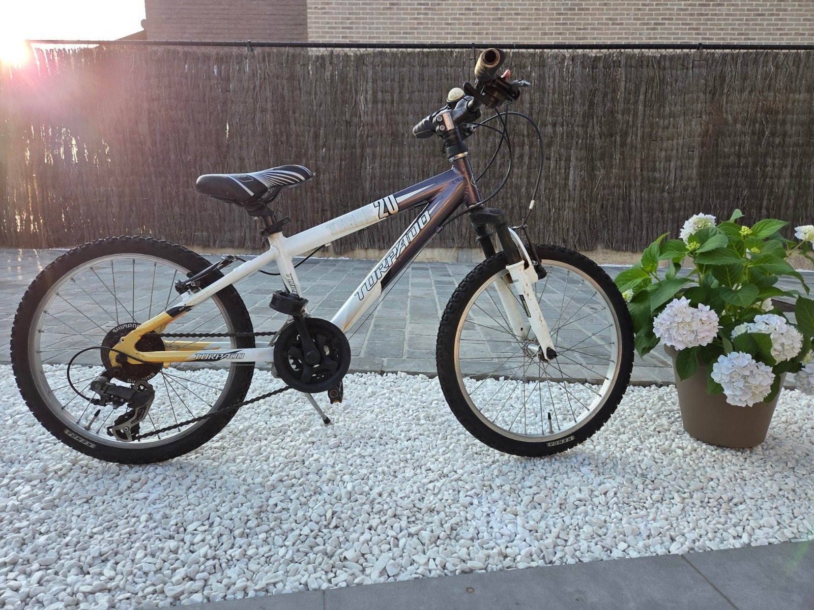 MTB Torpado 20" (6 tot 9 jaar), Vélos & Vélomoteurs, Enlèvement