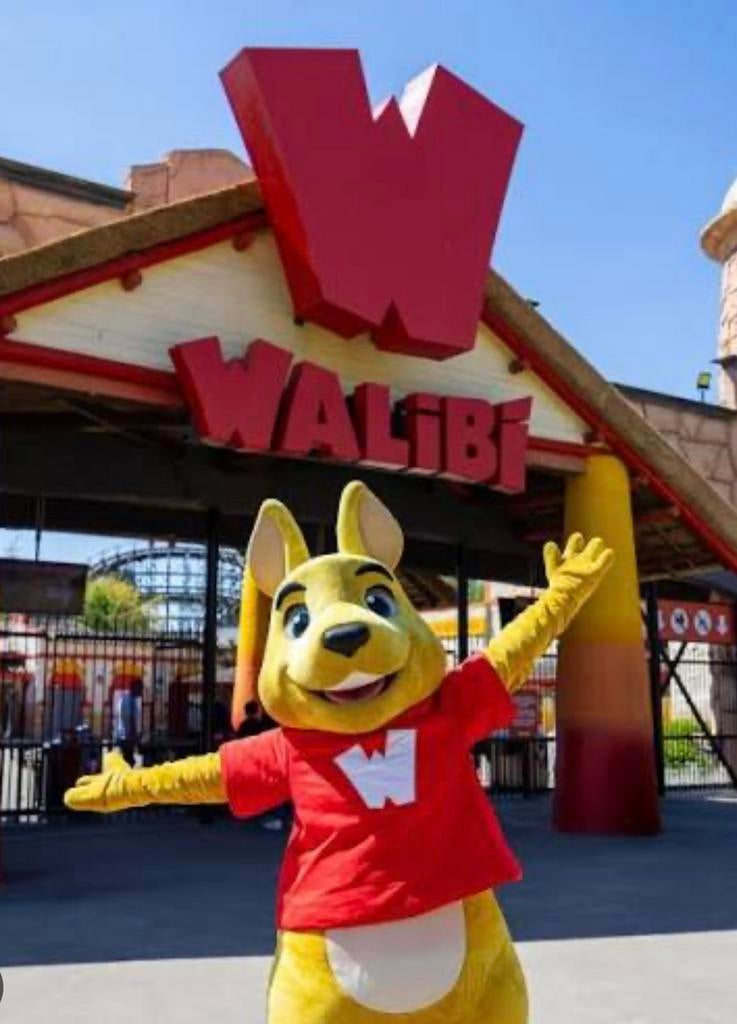 Walibi ticket, Une personne