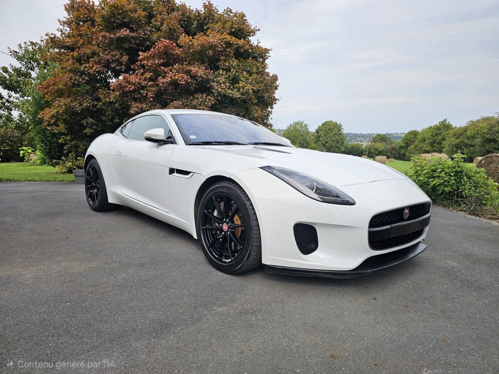 Jaguar f type, Autos, Jaguar, Achat, F-type, Carnet d'entretien, Automatique