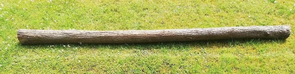 Eiken stam 2,55m lang, Ophalen