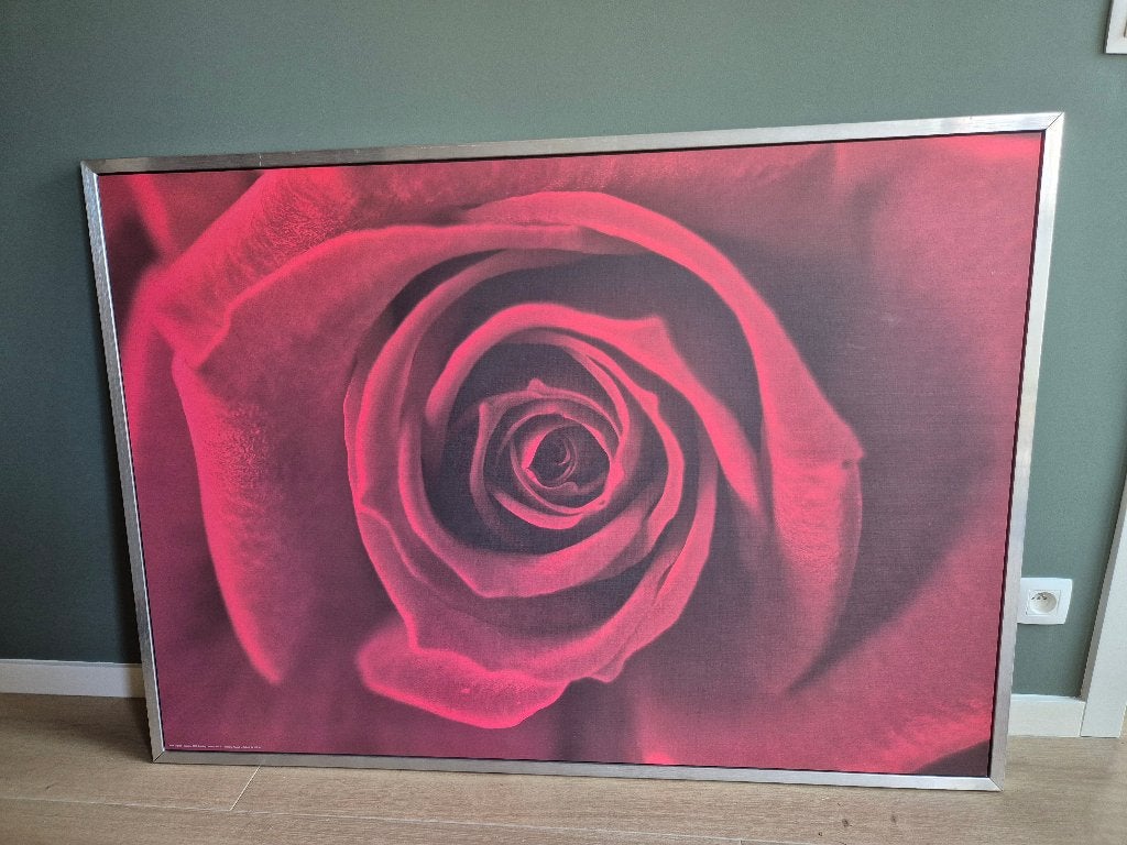 Kader met roos, Huis en Inrichting, Ophalen, Metaal, Rood, 100 cm