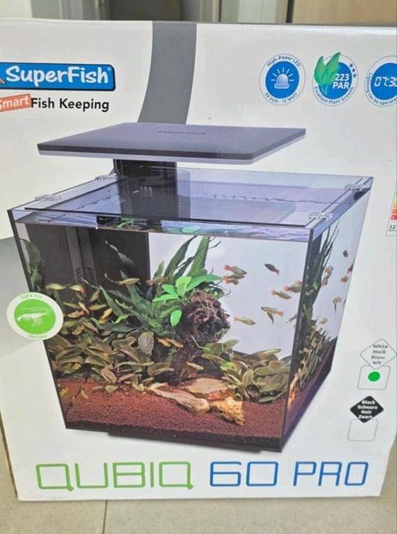 NIEUWE SUPERFISH QUBIQ 60 PRO 60L GARNALEN, VISSEN MET ALLES, Dieren en Toebehoren, Ophalen, Pomp, Filter, Superfish