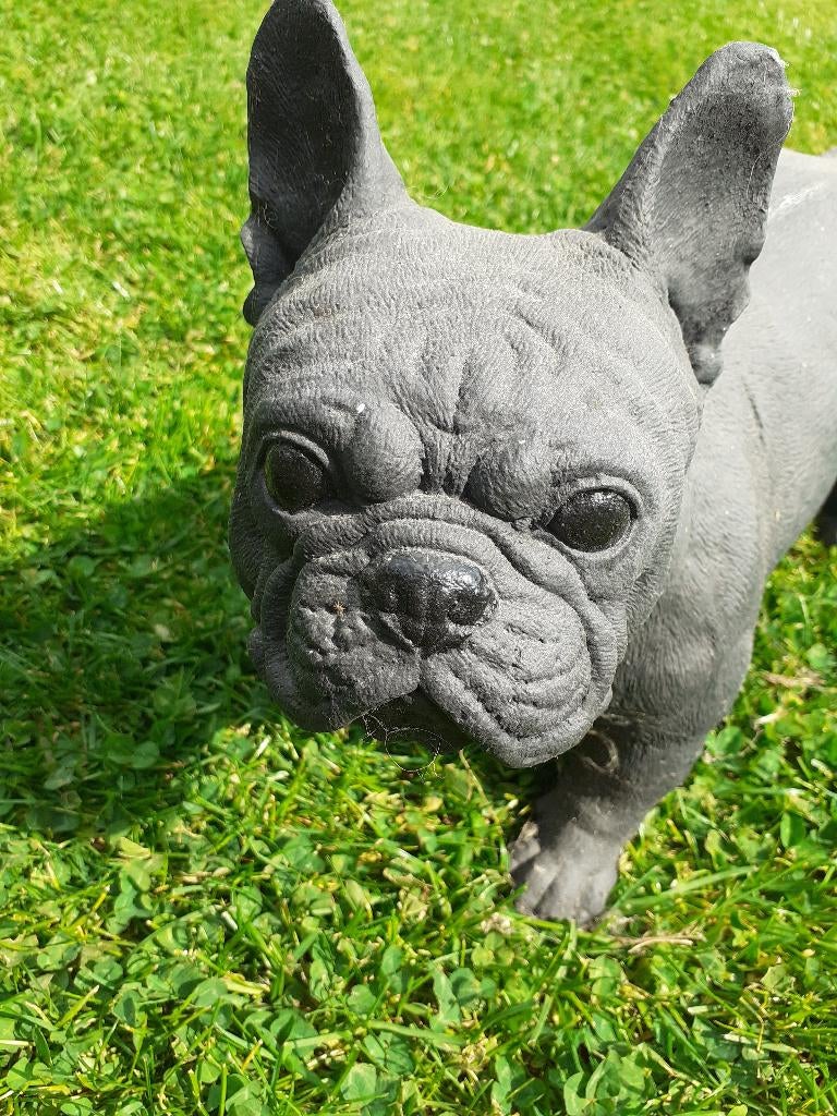 STATUE ANIMALIERE EN PIERRE PATINEE (bouledogue français), Enlèvement, Comme neuf, Pierre, Animal