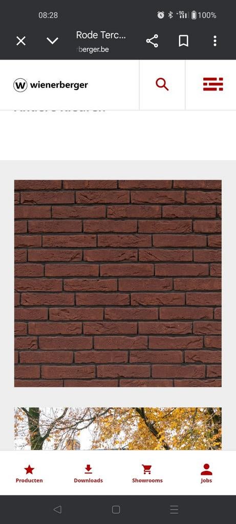 Paepsteen basia rood 188 x 88 x 48 mm, Doe-het-zelf en Bouw, Metselstenen, Ophalen, Nieuw, Bakstenen