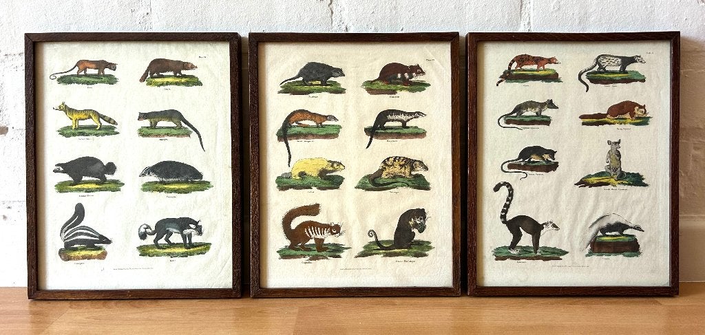 oude triptiek gekleurde afbeelding dieren encyclopedie kader, Antiek en Kunst, Ophalen of Verzenden