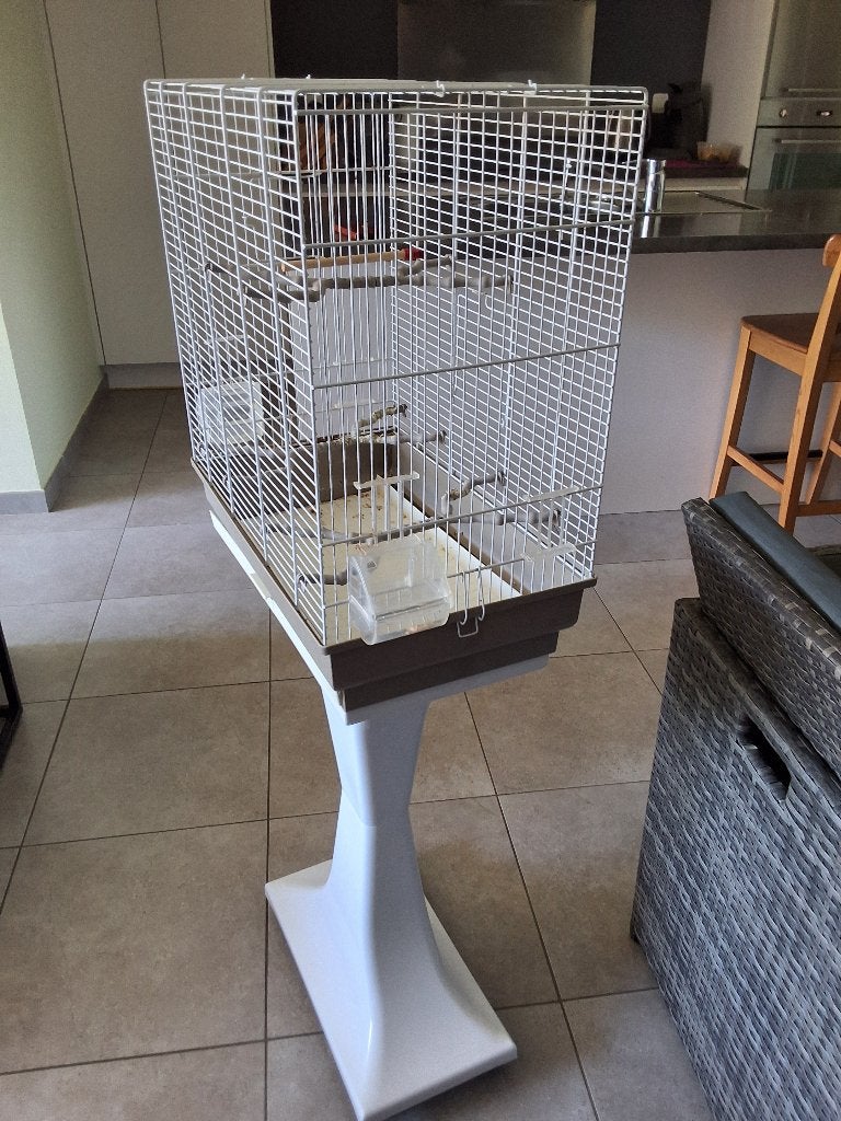 Gratis afhalen vogelkooi, Diversen, Overige Diversen, Gebruikt, Ophalen