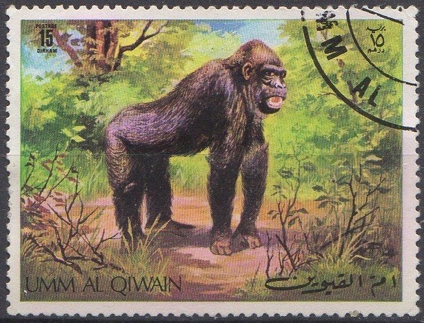Umm Al Qiwain - Gorilla 1971, Envoi, Affranchi