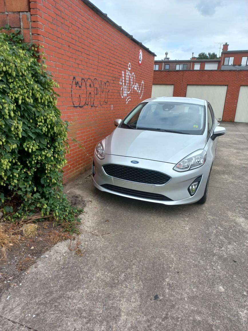 ford fiesta 1.0 EcoBoost 2019, Auto's, Particulier, Te koop