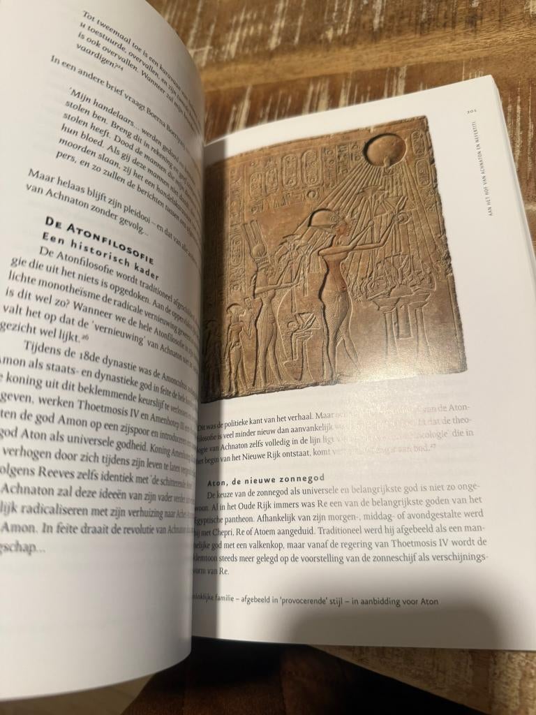 Onder het oog van de zonnegod - Marleen Reynders, Livres, Enlèvement ou Envoi, 14e siècle ou avant, Marleen Reynders, Comme neuf