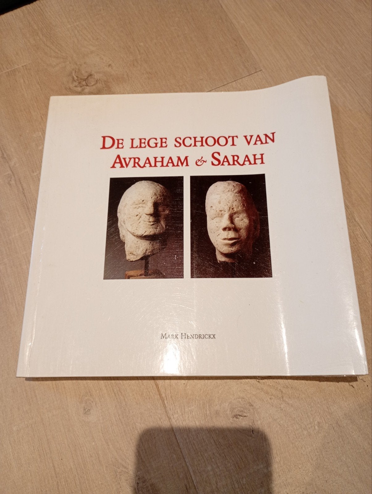 De lege schoot van Avraham & Sarah - Mark Hendrickx, Boeken, Ophalen, Gelezen, Overige onderwerpen, M. Hendrickx