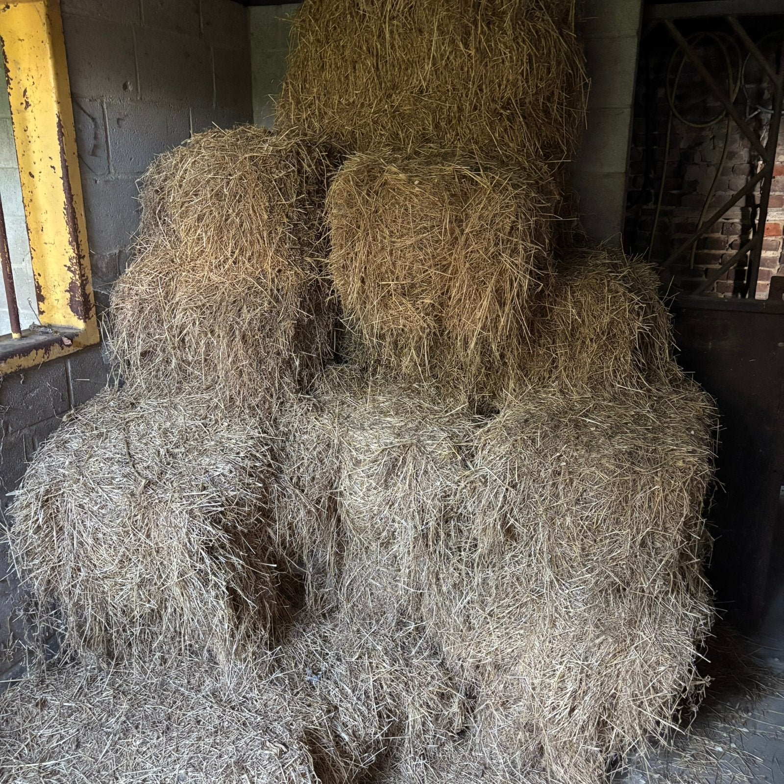 Oud hooi GRATIS, Dieren en Toebehoren, Ophalen