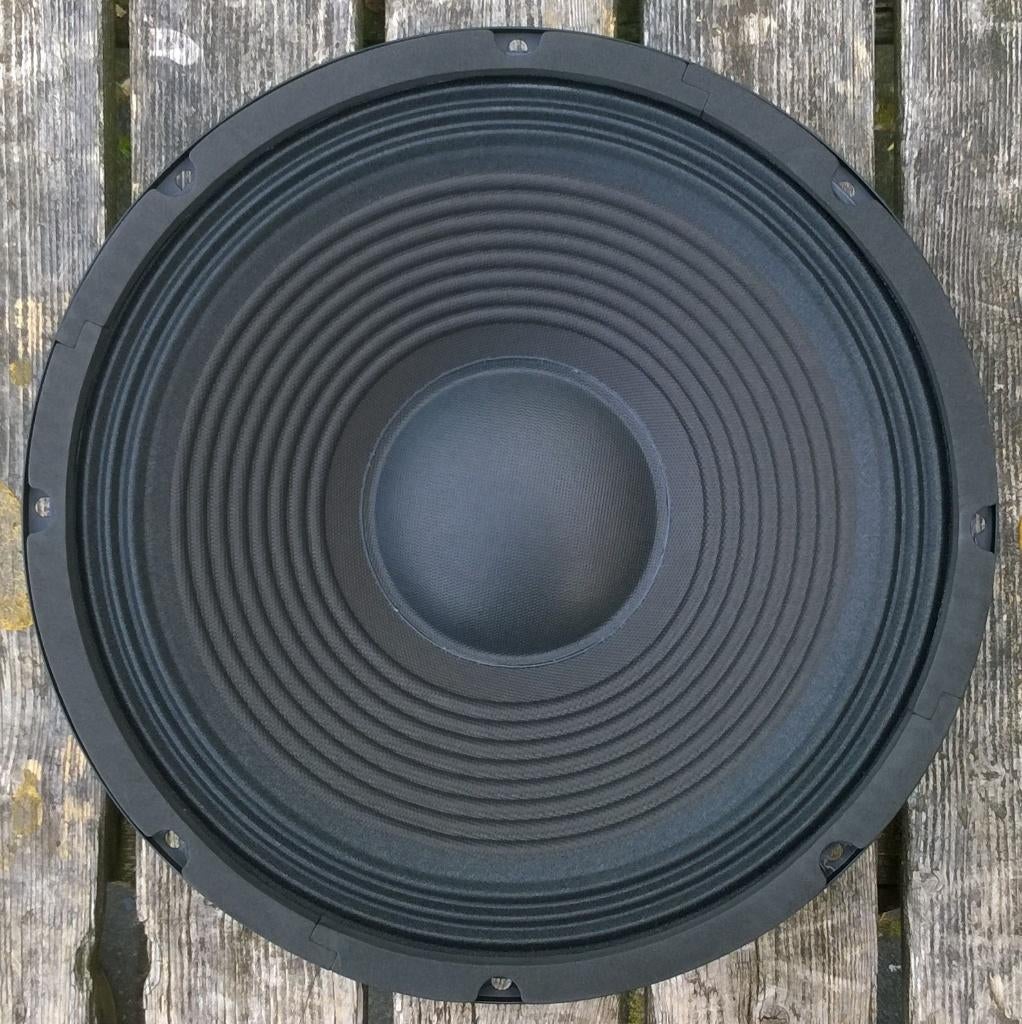 Woofer 12 inch 150 - 300 Watt, SP1200, Neuf, Autres marques, Enlèvement ou Envoi, Autres types